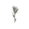 prop_plant_01a GTA 5 prop model