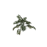 prop_plant_cane_02b GTA 5 prop model