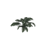 prop_plant_fern_02b GTA 5 prop model