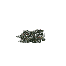 prop_plant_flower_03 GTA 5 prop model