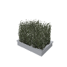 prop_plant_int_06a GTA 5 prop model