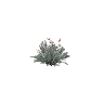 prop_plant_paradise GTA 5 prop model