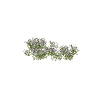 prop_snow_bush_02_b GTA 5 prop model