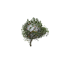 prop_tree_birch_05 GTA 5 prop model