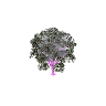 prop_tree_eng_oak_cr2 GTA 5 prop model