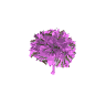 prop_tree_jacada_02 GTA 5 prop model