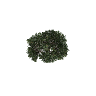 prop_tree_maple_02 GTA 5 prop model