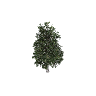 prop_tree_maple_03 GTA 5 prop model