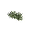 prop_veg_grass_01_a GTA 5 prop model