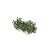 prop_veg_grass_01_b GTA 5 prop model