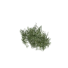 prop_veg_grass_01_c GTA 5 prop model