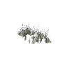 prop_veg_grass_02_a GTA 5 prop model