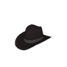 reh_prop_reh_hat_cowboy_01a GTA 5 prop model