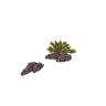 v_19_fishy_coral2 GTA 5 prop model