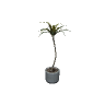 v_corp_potplant1 GTA 5 prop model