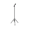 v_ilev_fos_mic GTA 5 prop model
