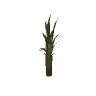 v_med_p_planter GTA 5 prop model