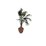 v_res_m_bananaplant GTA 5 prop model