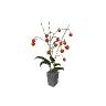 v_res_mvasechinese GTA 5 prop model