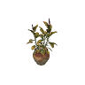 v_res_rubberplant GTA 5 prop model