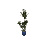 v_res_tre_plant GTA 5 prop model