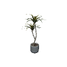 v_res_tre_tree GTA 5 prop model