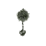 vw_prop_casino_art_plant_01a GTA 5 prop model