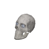 vw_prop_casino_art_skull_03a GTA 5 prop model