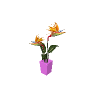 vw_prop_flowers_potted_01a GTA 5 prop model
