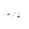 xs_combined2_dystdecal_10 GTA 5 prop model