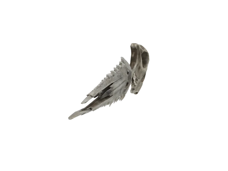 Knifehall — 3D render of the melee model, shown from the side
