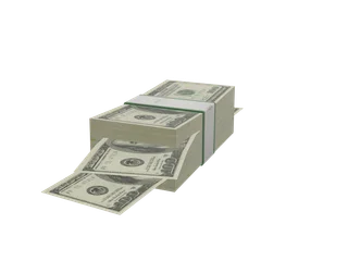 Cash — 3D render of the throwable model, shown from the side